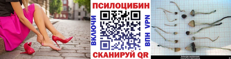 Псилоцибиновые грибы Psilocybine cubensis  ОМГ ОМГ   Пустошка 